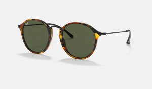 Ray Ban Round Fleck Women's Sunglasses Green | ZD2158390